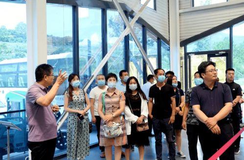 临朐网红大玲子事件,揭秘网络红人的争议与真相